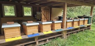 Bienenstand von Gut Hohenberg